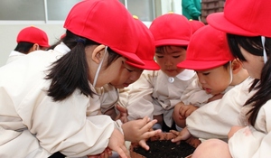 BL-20150421-01 (3).jpg